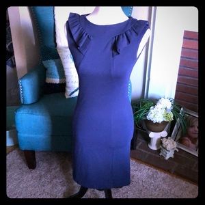 Banana Republic Petite Navy Blue ruffle detail